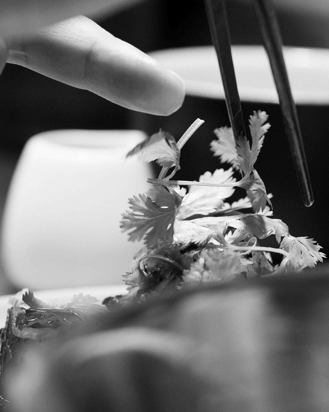 A chef serving a plate.